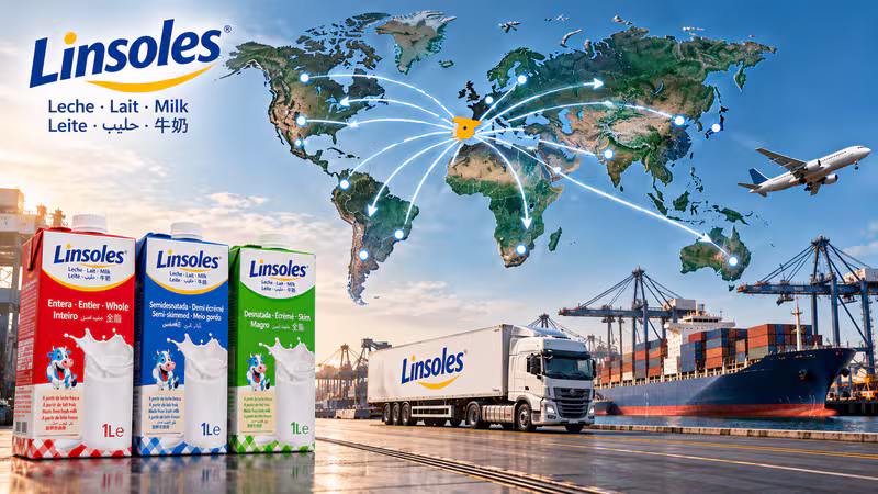 Mapa mundial con los destinos internacionales de distribución de LINSOLES desde España