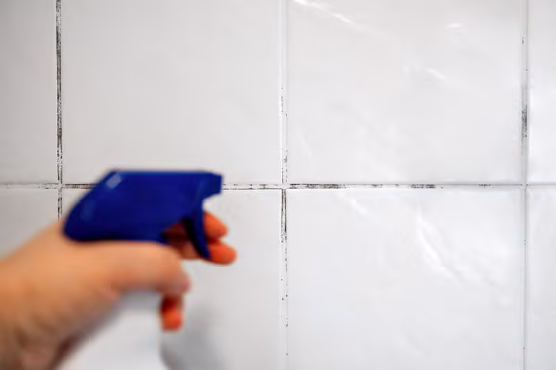 Faïence et joints d'une salle de douche à Courtrai