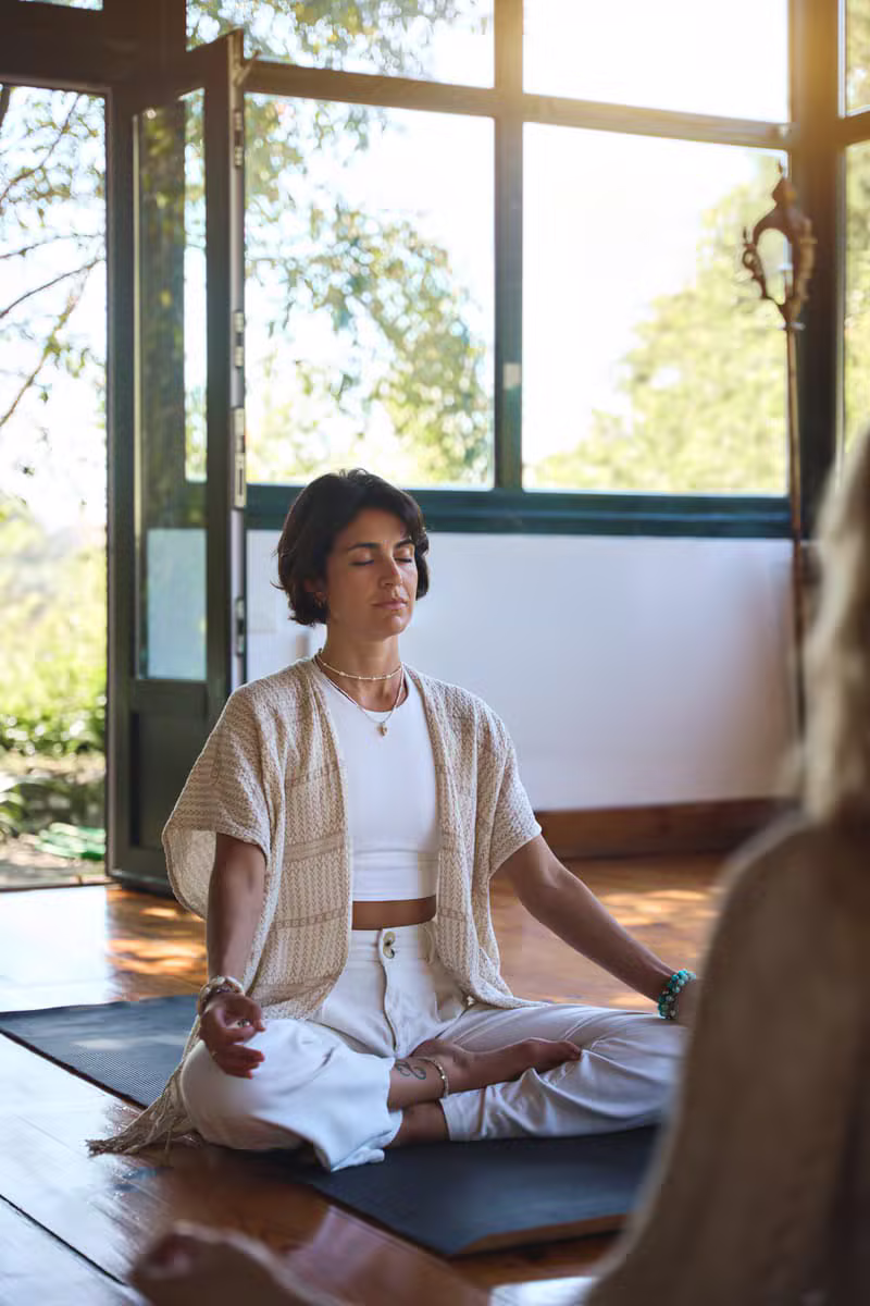 A calm wellness coaching session in a bright, peaceful room