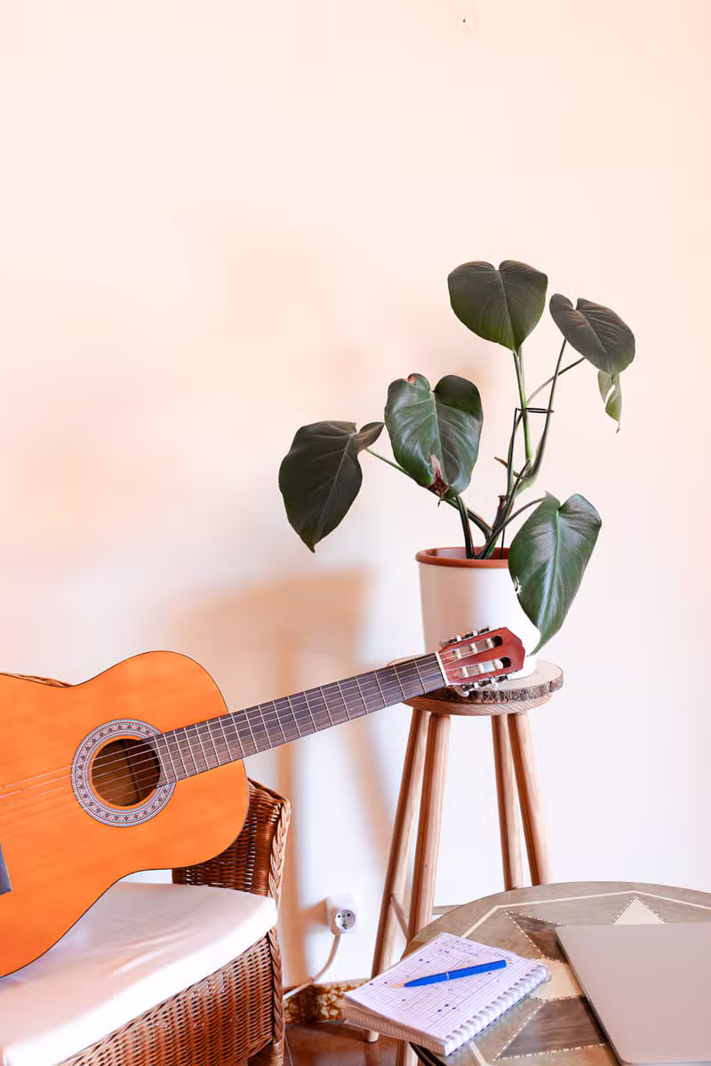 A serene wellness coaching space filled with natural light and plants