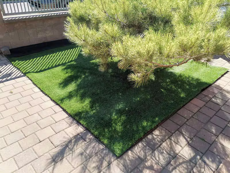 Umělý trávník pod borovicí mezi dlažbou u domu
