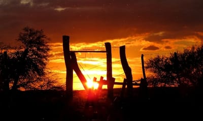 Sobre nosotros image