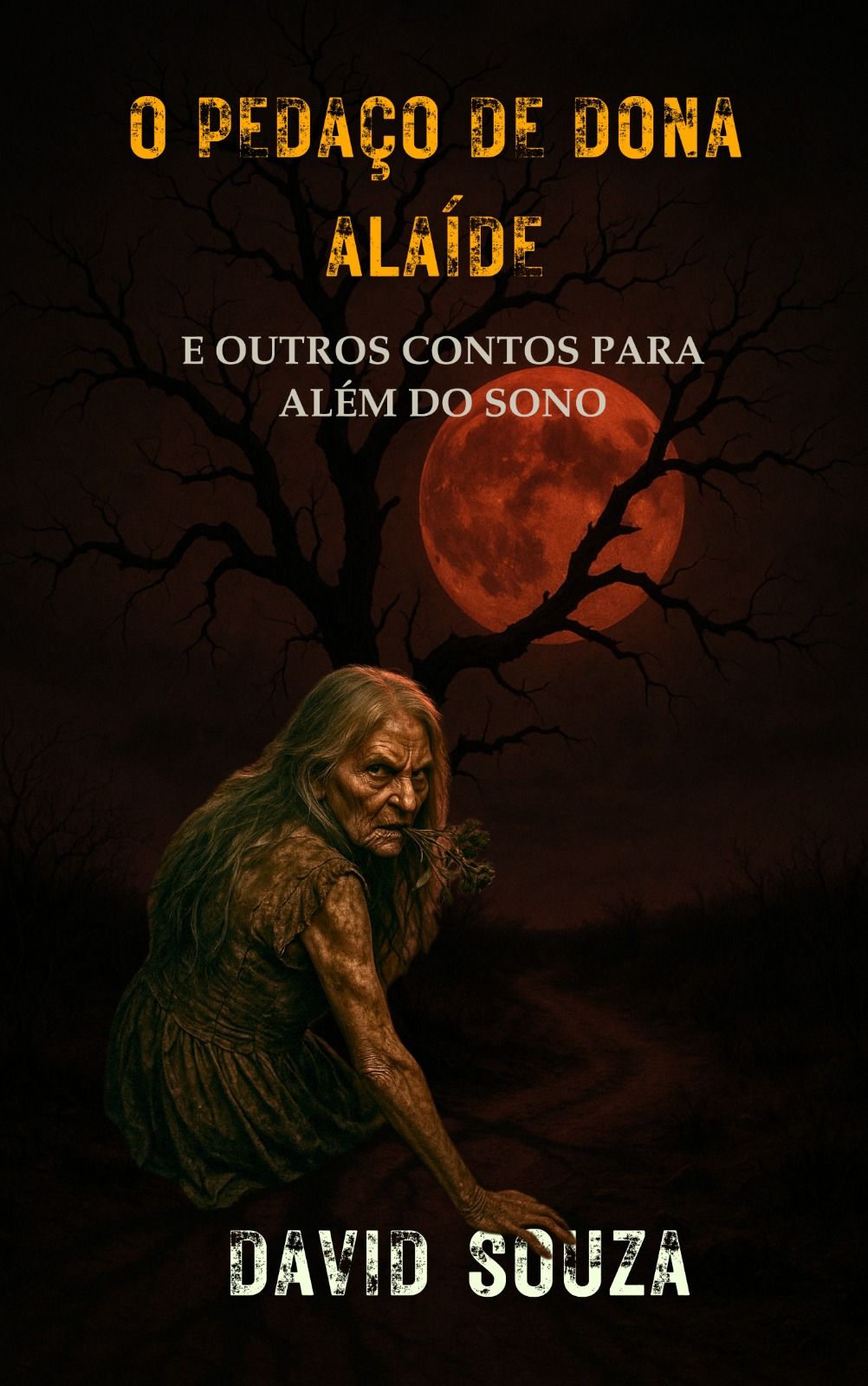 O Pedaço de Dona Alaíde - O LIVRO