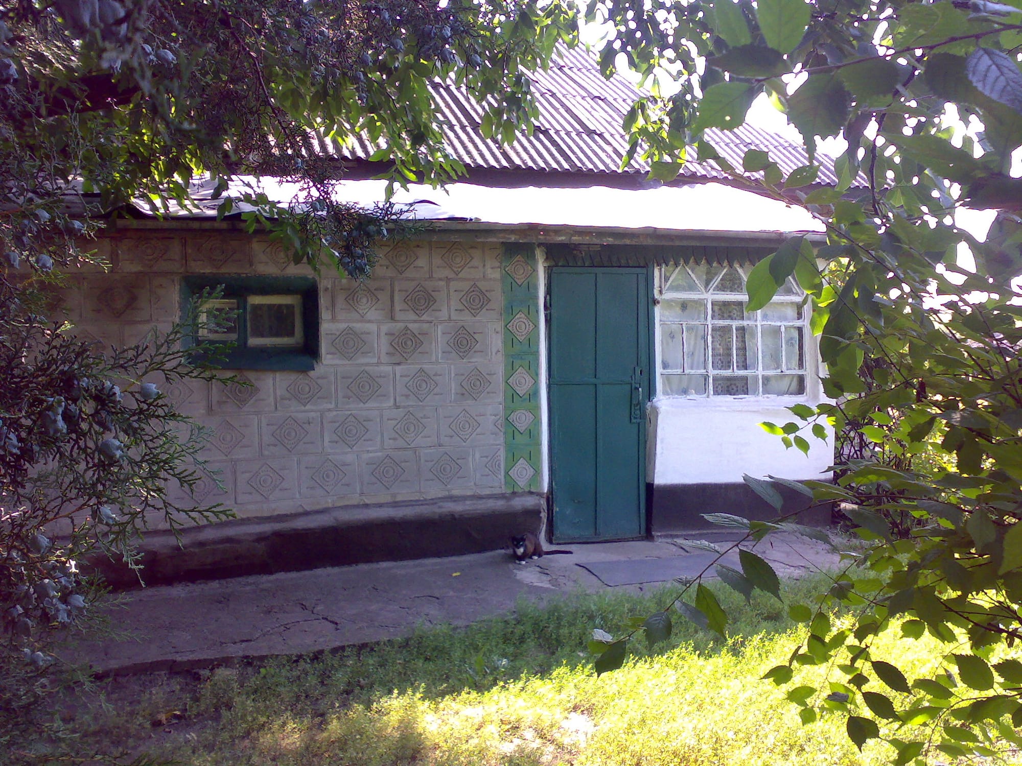 A ÚLTIMA FOTOGRAFIA