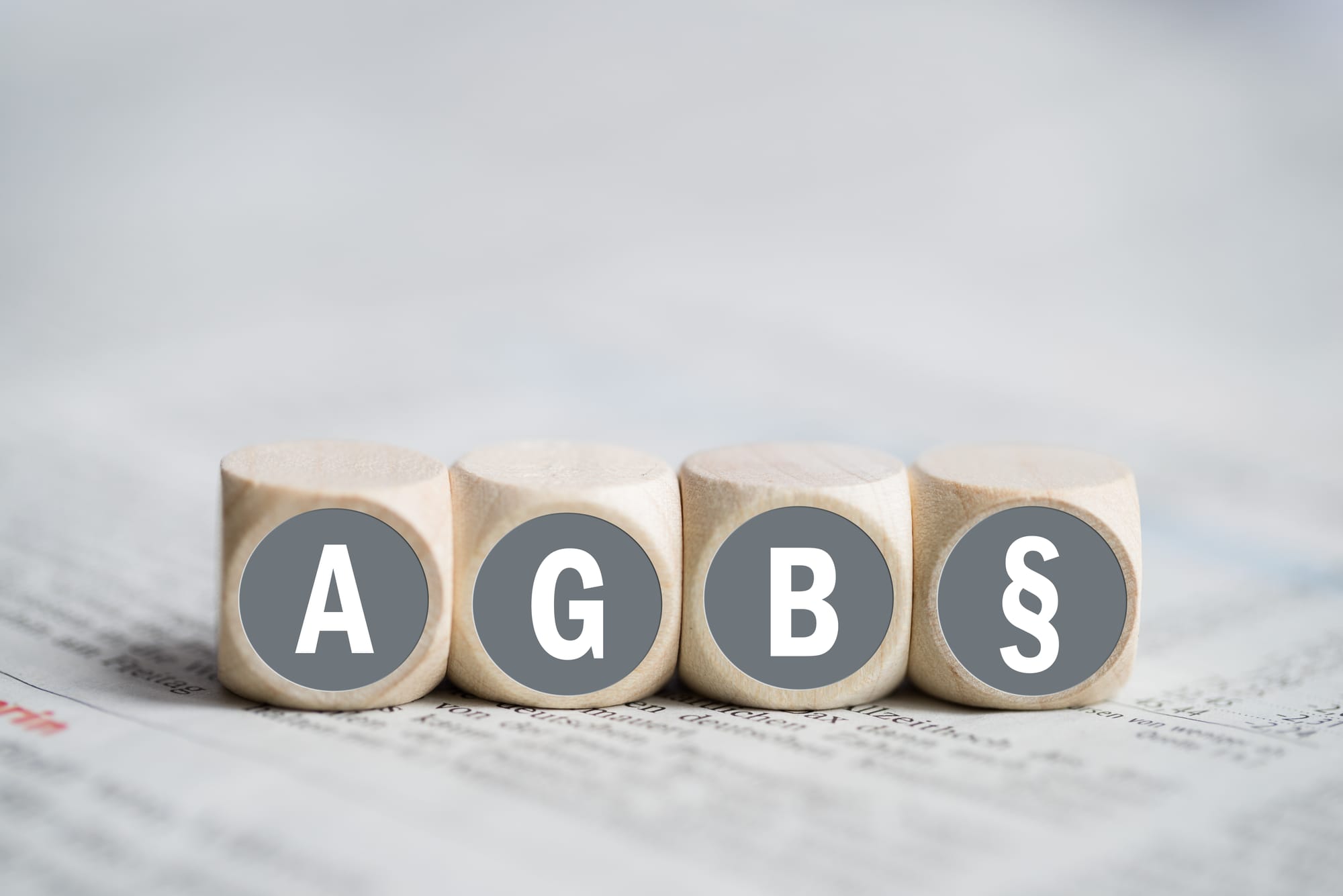 Allgemeine Geschäftsbedingungen (AGB)
