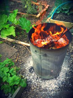 Garden Fires image