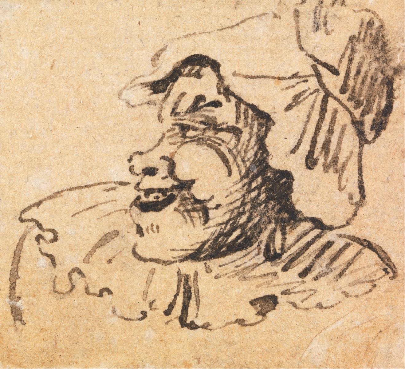 Grotesque Male Head (3)