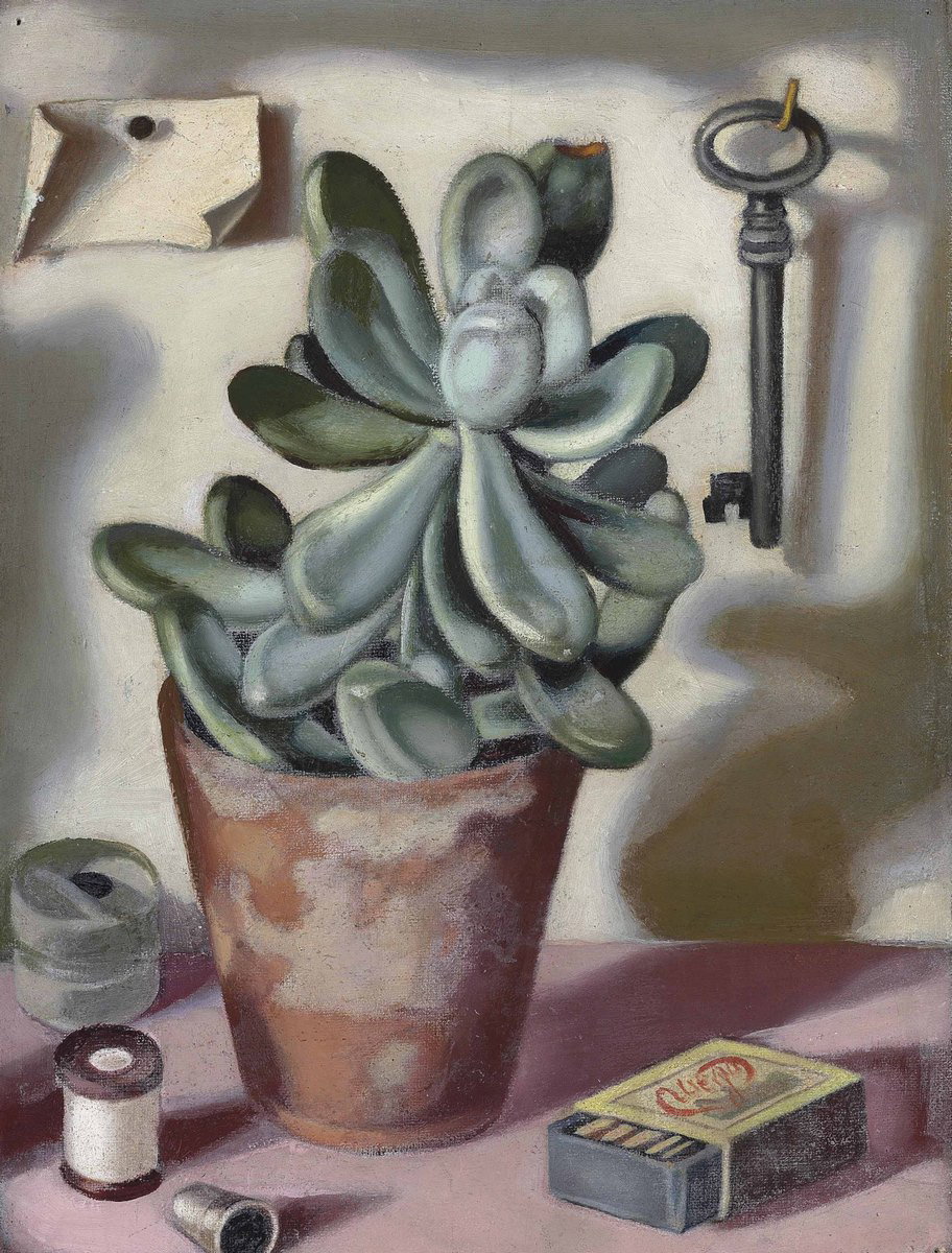 Nature morte à la plante grasse