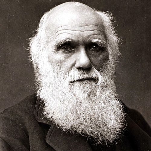 Darwin Day 12/02/2025