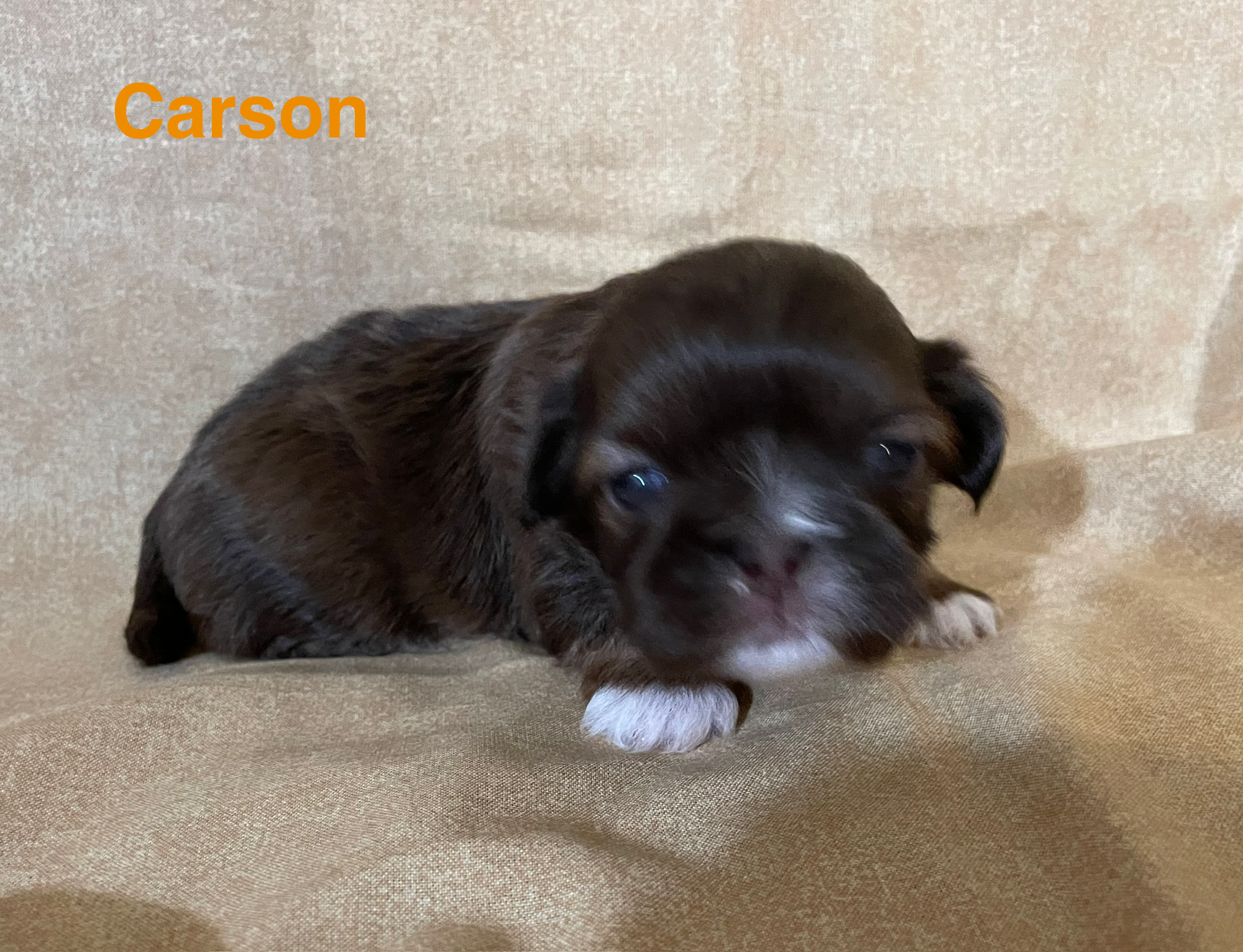 Carson Born 10-9-26; Raedy 12-5-26  $1800