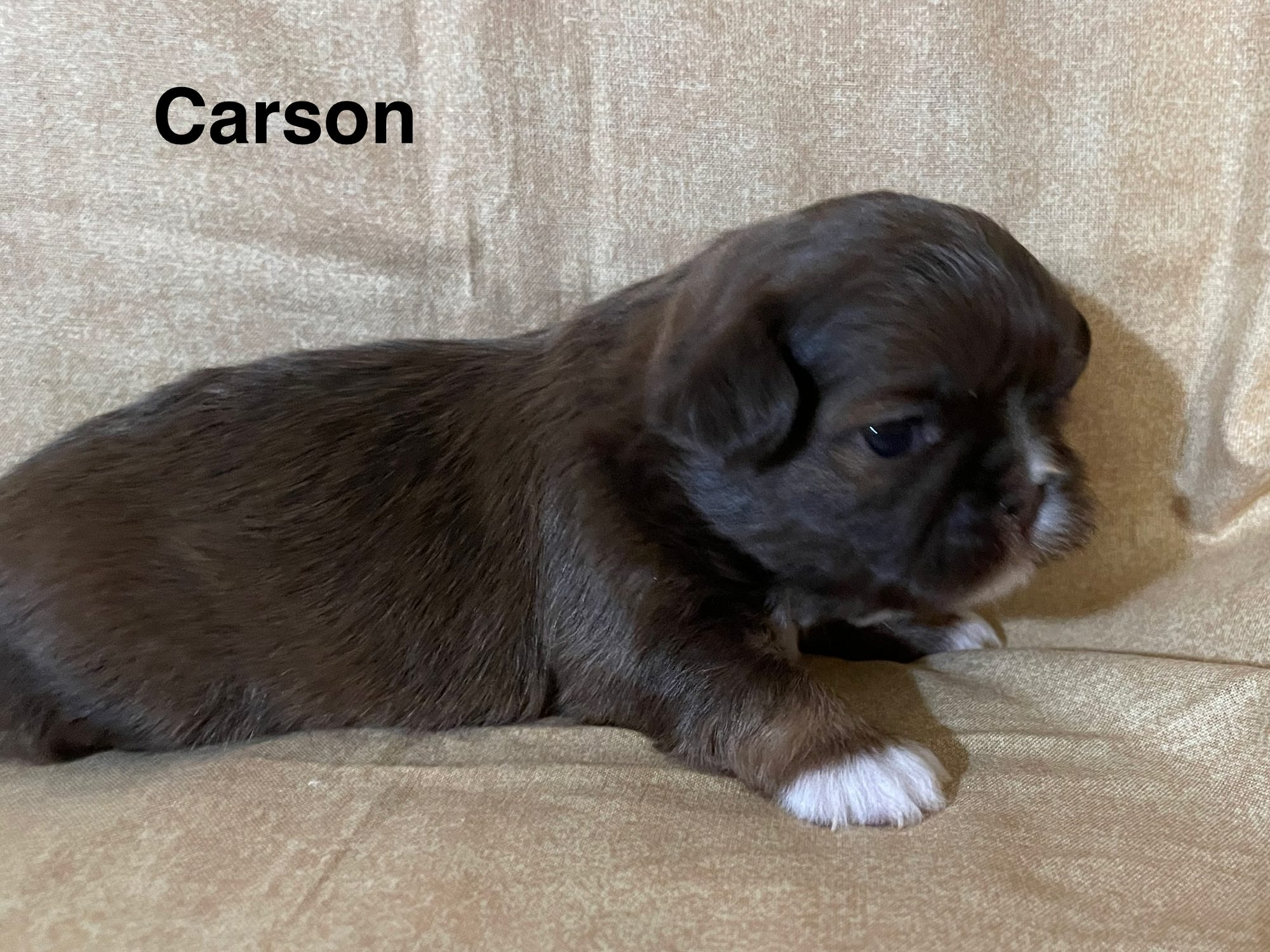 Carson Born 10-9-26; Ready 12-5-26  $1800