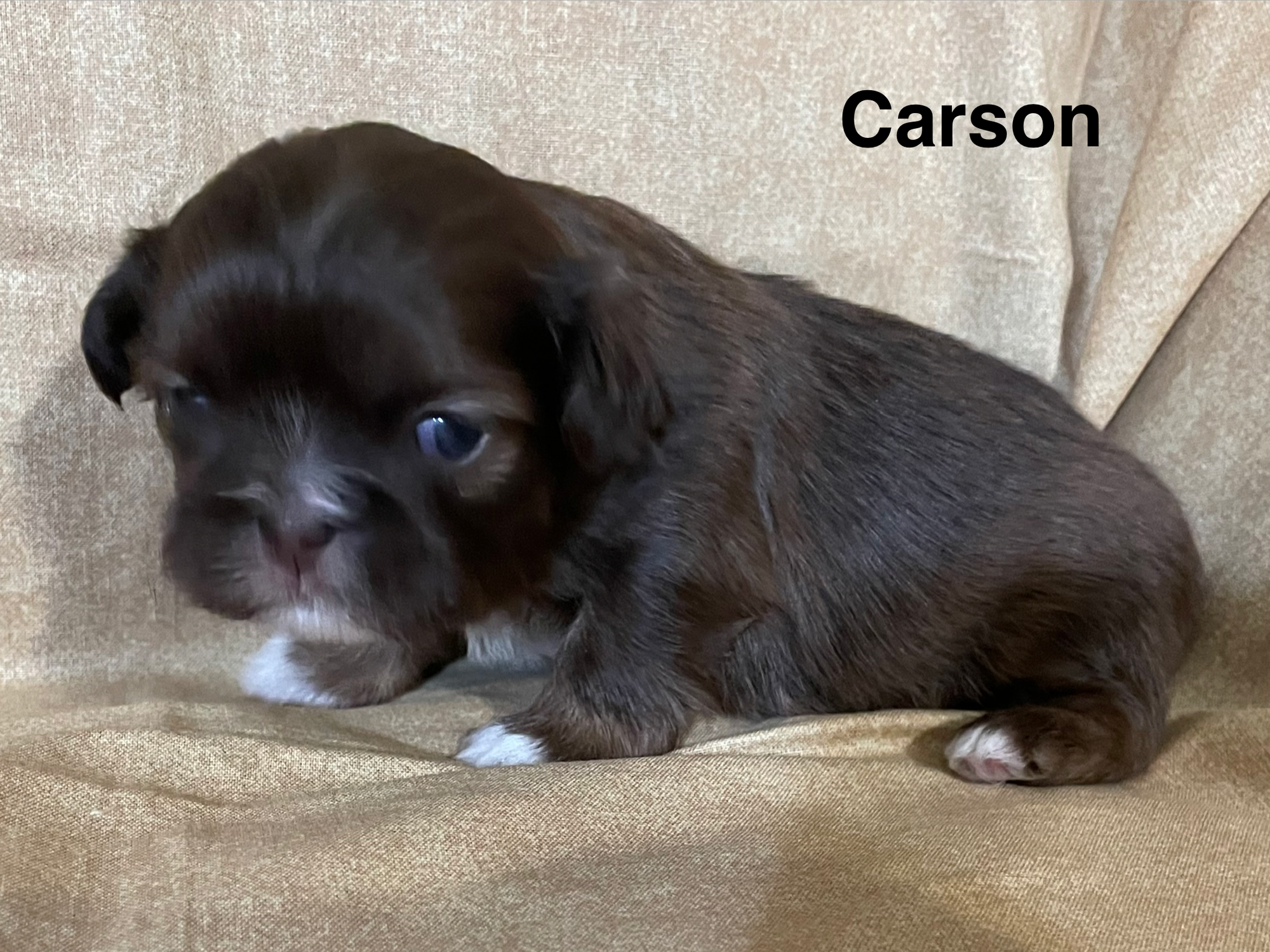 Carson Born 10-9-26; Ready 12-5-26  $1800