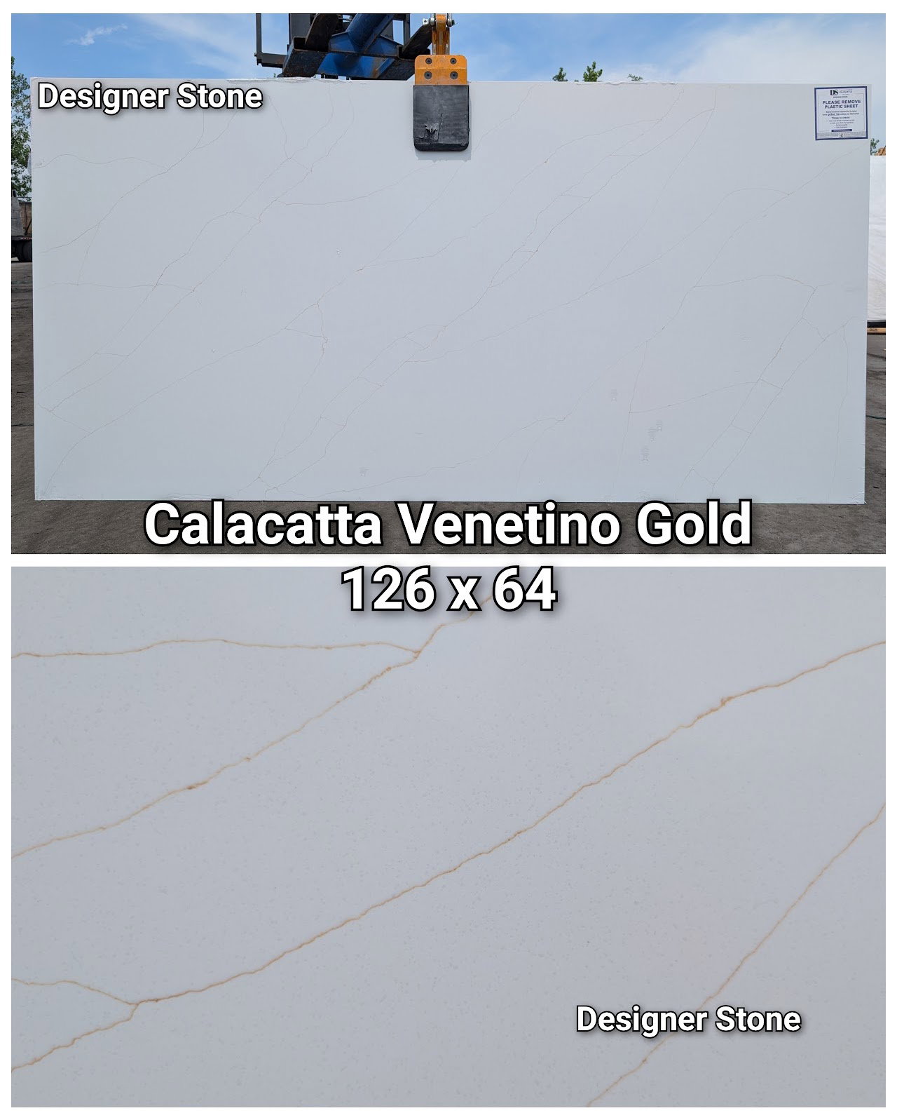 Calacatta Venetino Gold