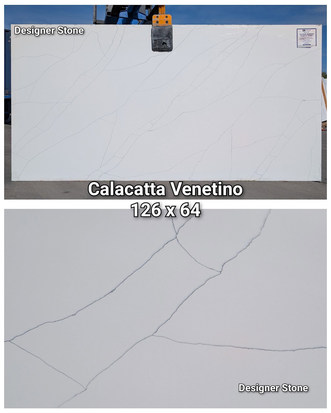 Calacatta Venetino
