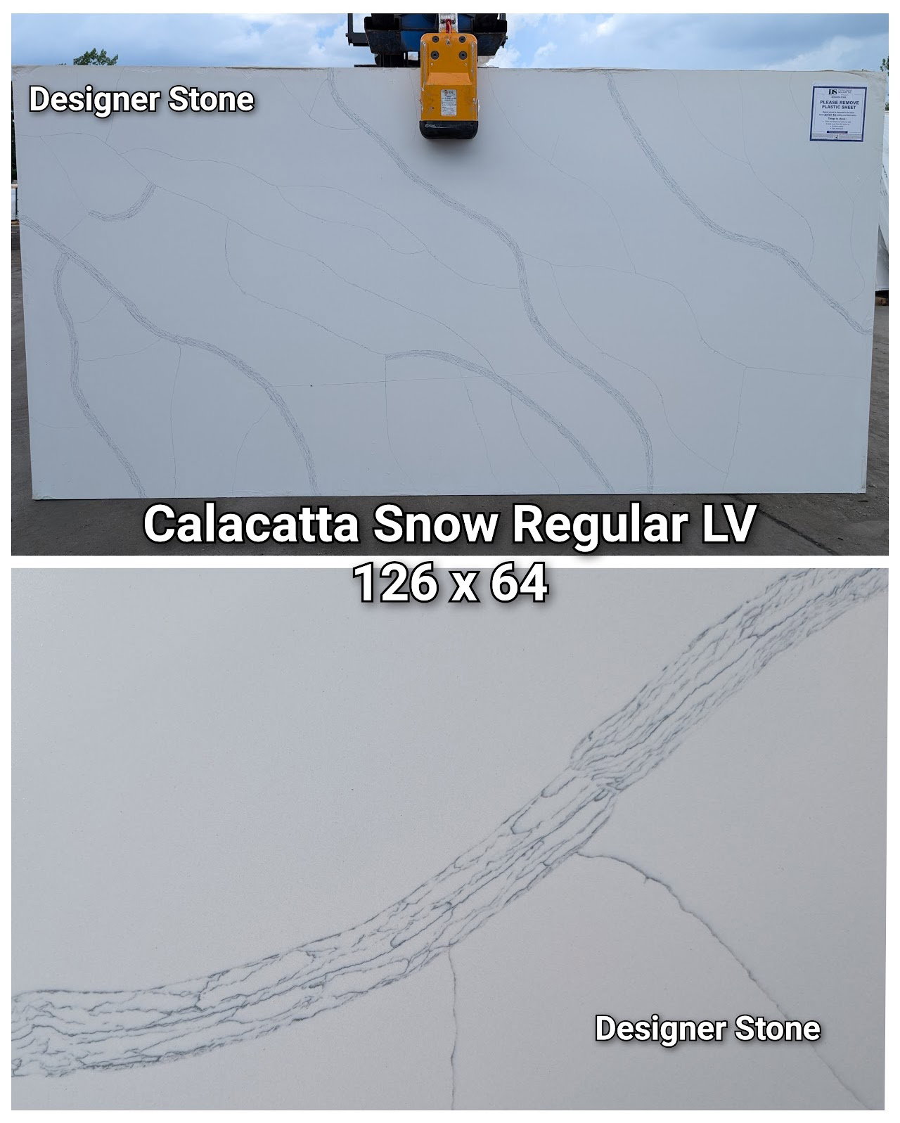 Calacatta Snow Regular LV