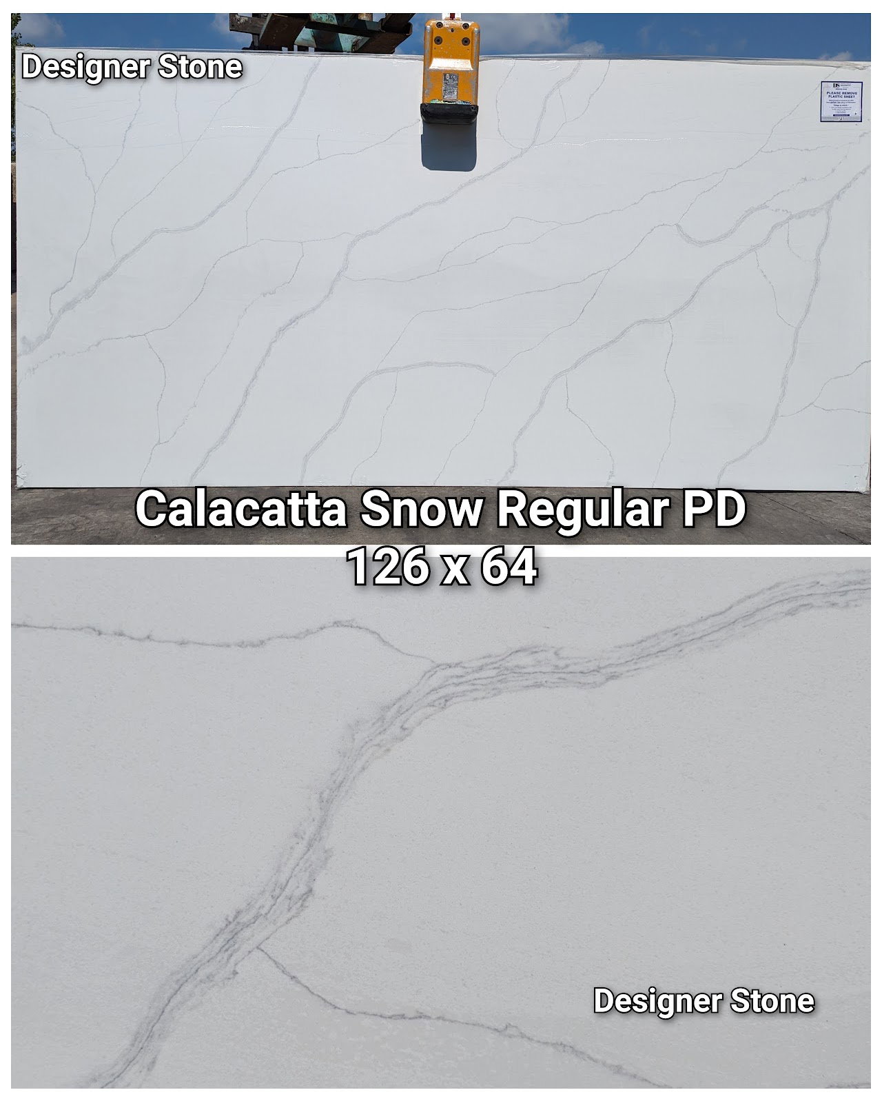 Calacatta Snow Regular PD