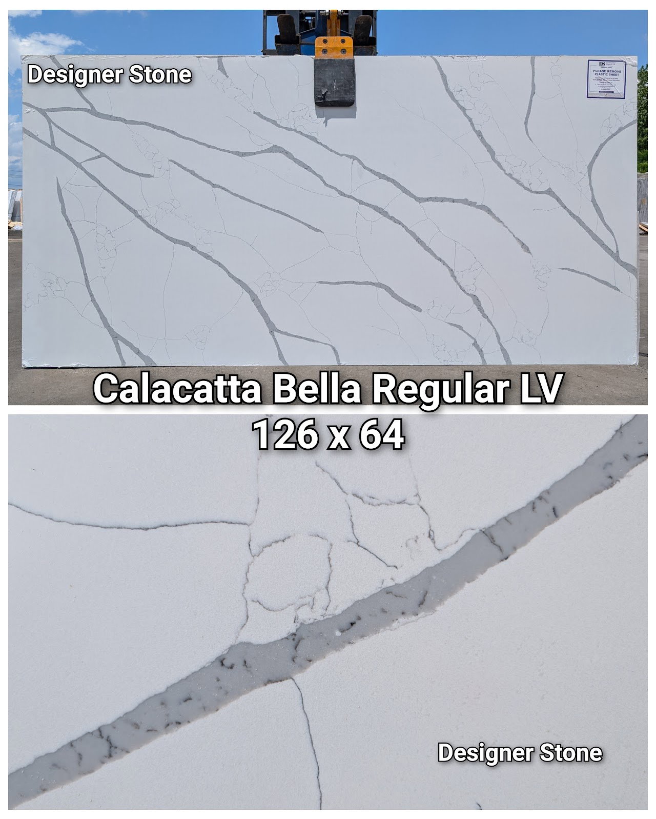 Calacatta Bella Regular LV
