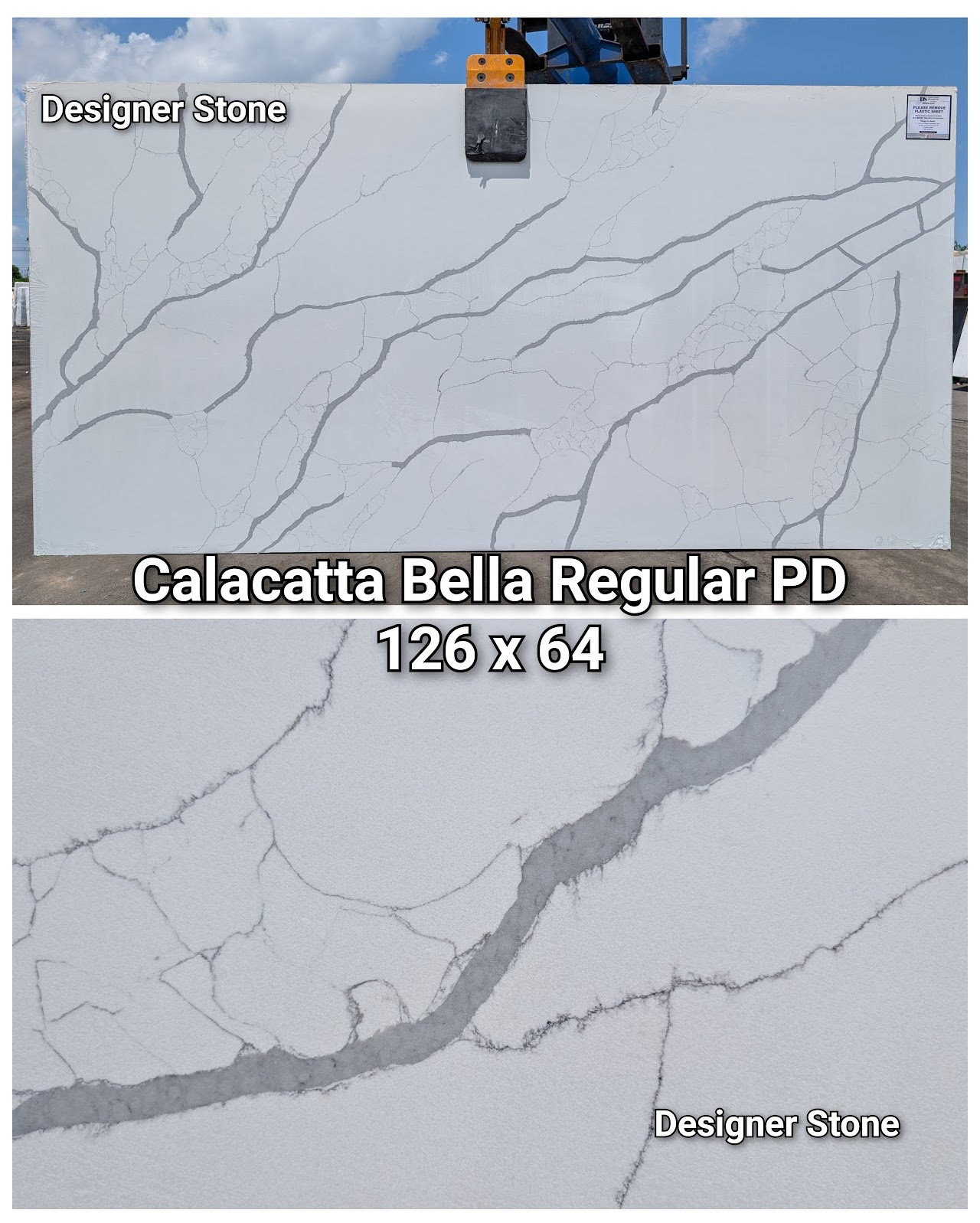 Calacatta Bella Regular PD