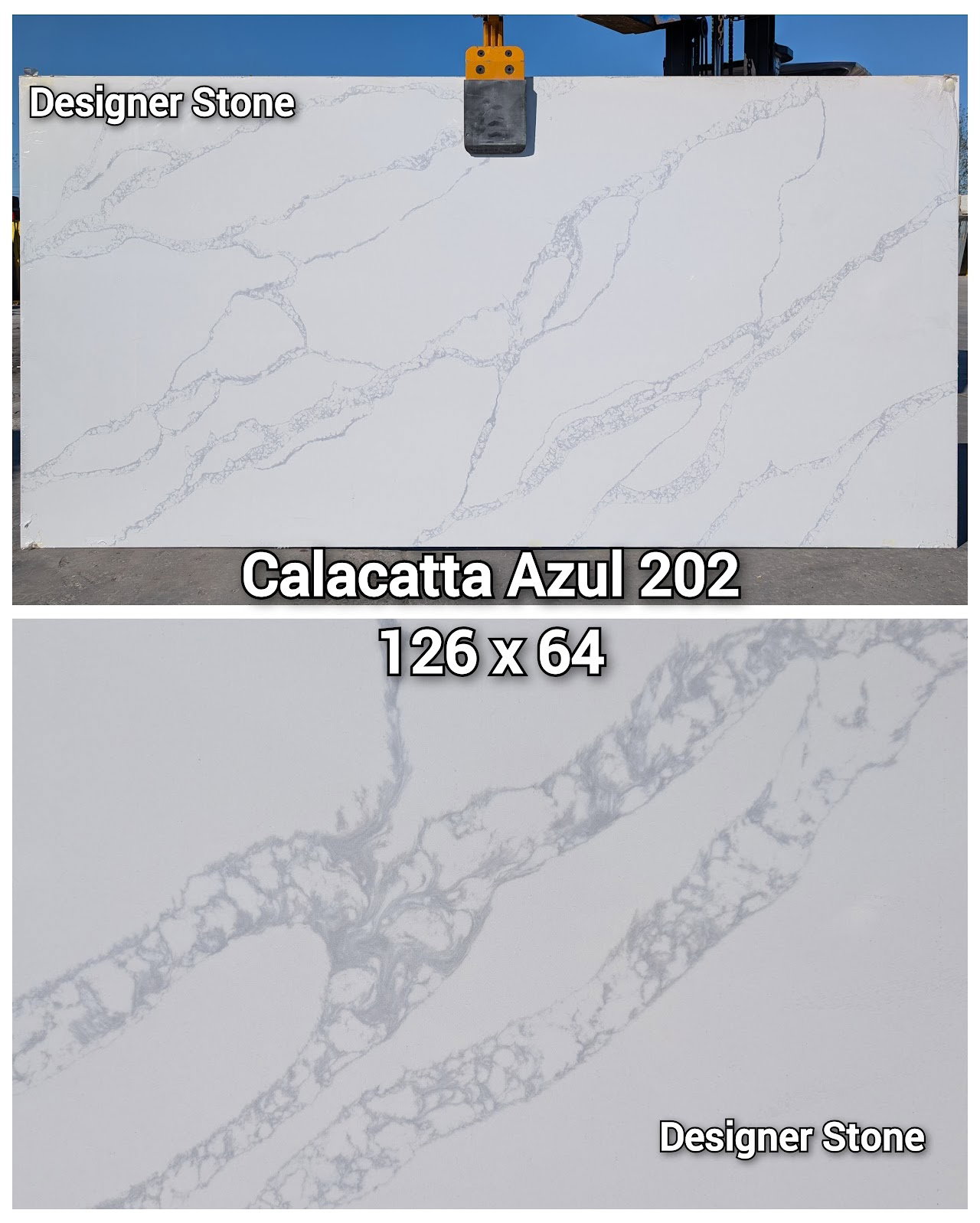 Calacatta Azul 202