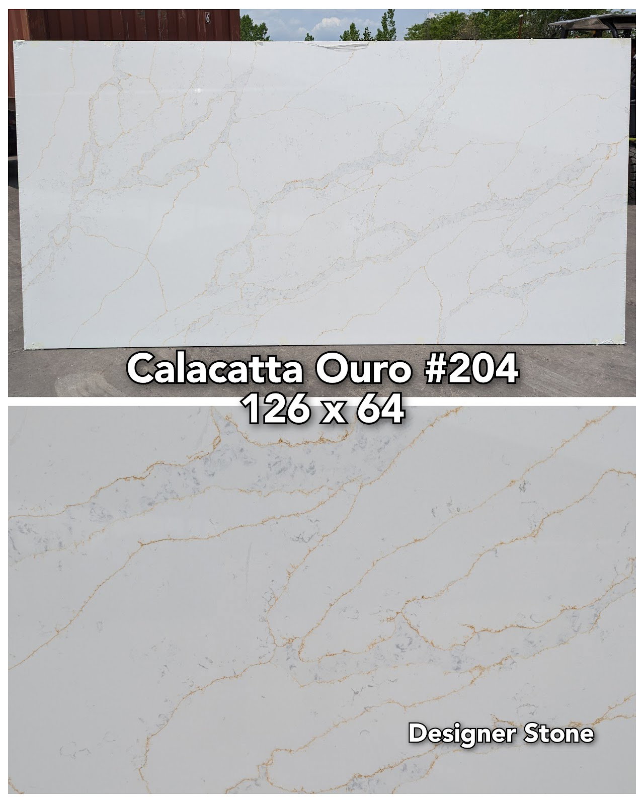 Calacatta Ouro 204