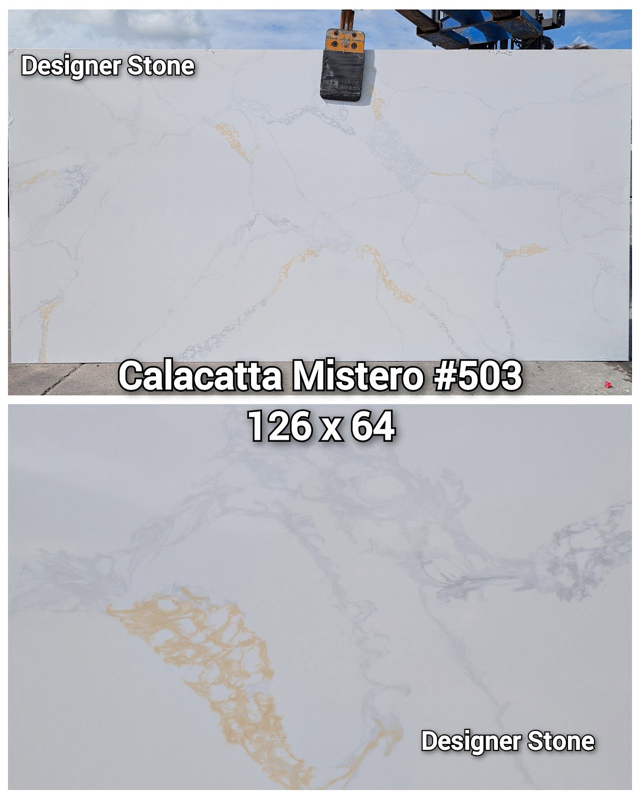 Calacatta Mistero 503