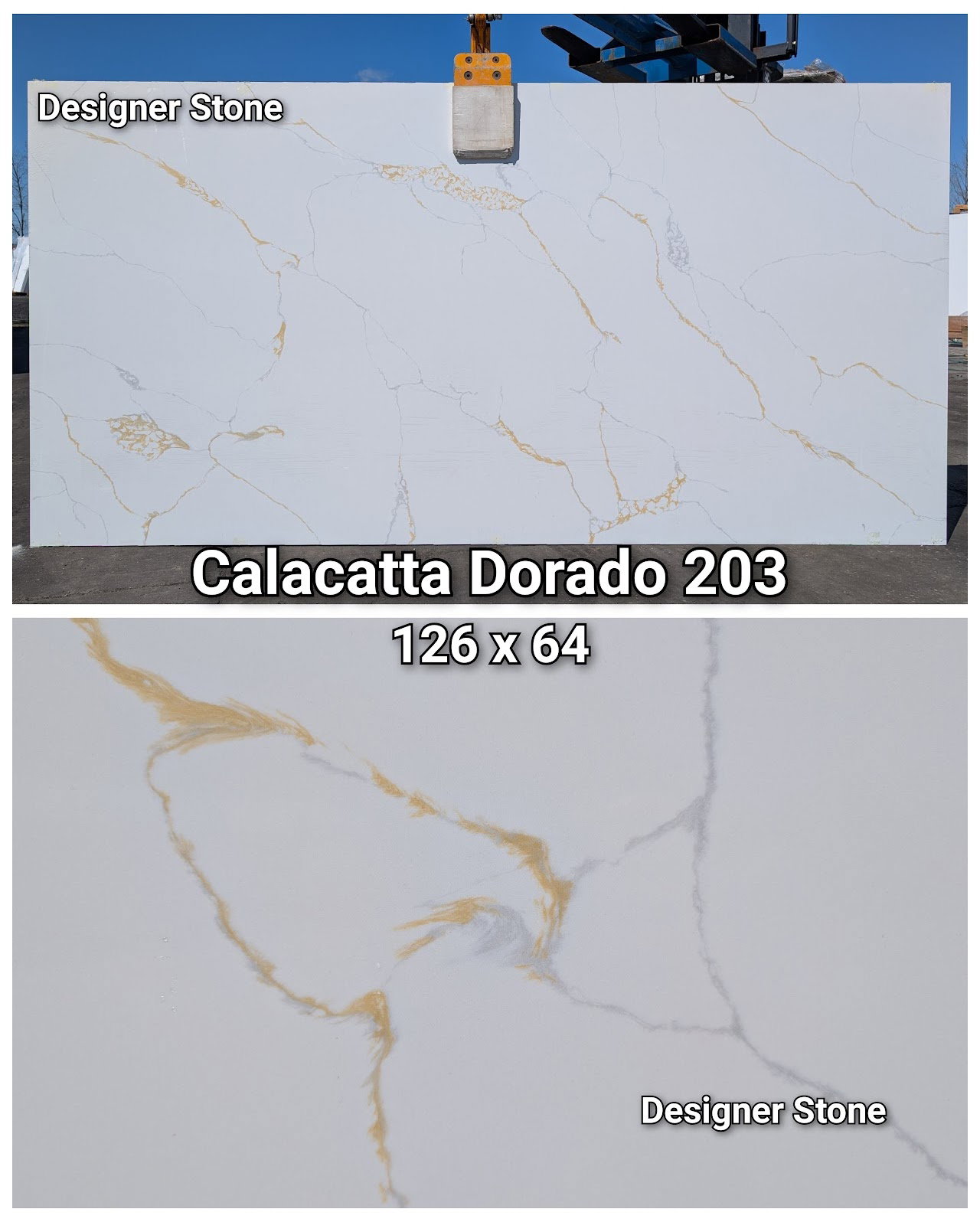 Calacatta Dorado 203