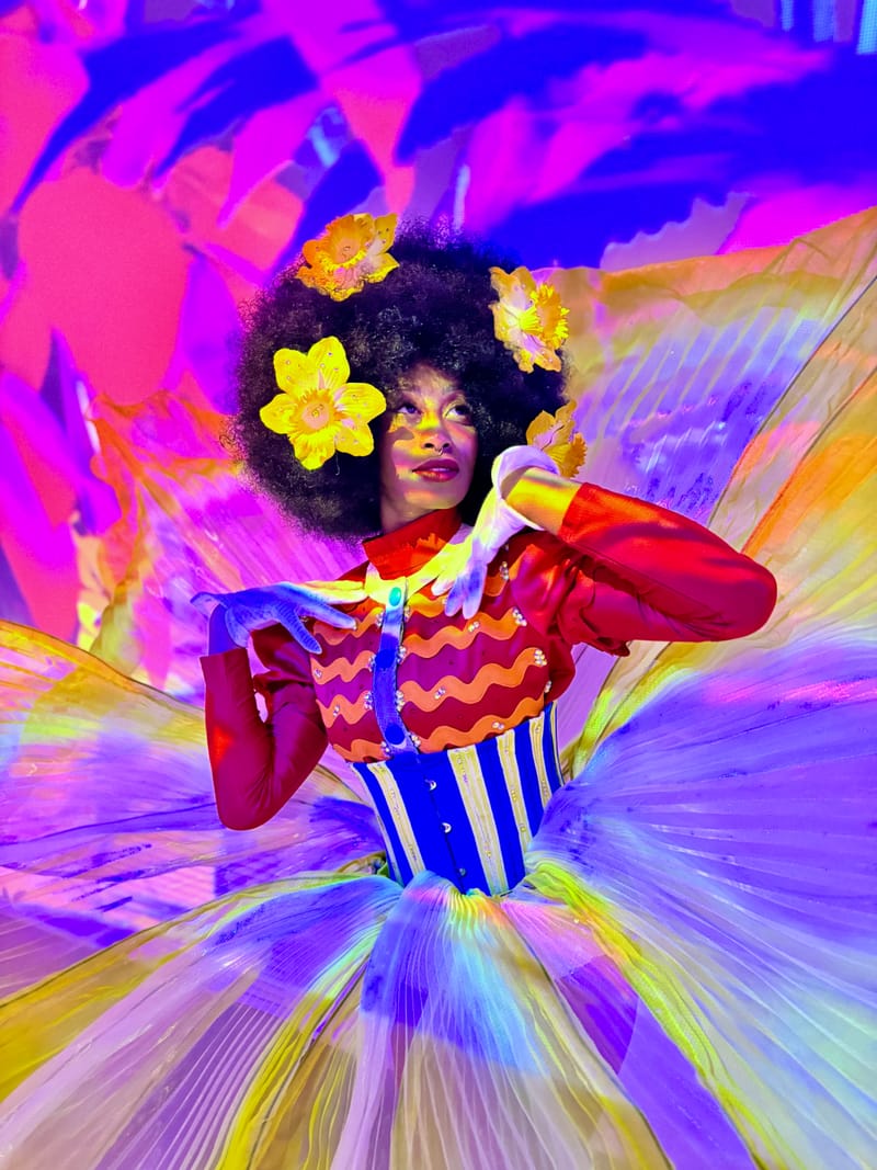 Wearable Whimsy: Pop Art Meets Painterly Elegance