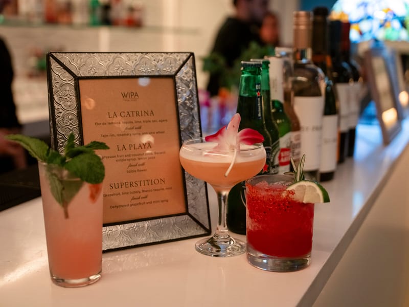 WIPA CULTURAL RELATIVISM WORKSHOP -New York