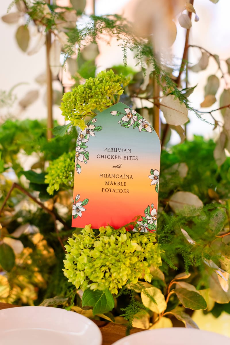 WIPA CULTURAL RELATIVISM WORKSHOP -New York