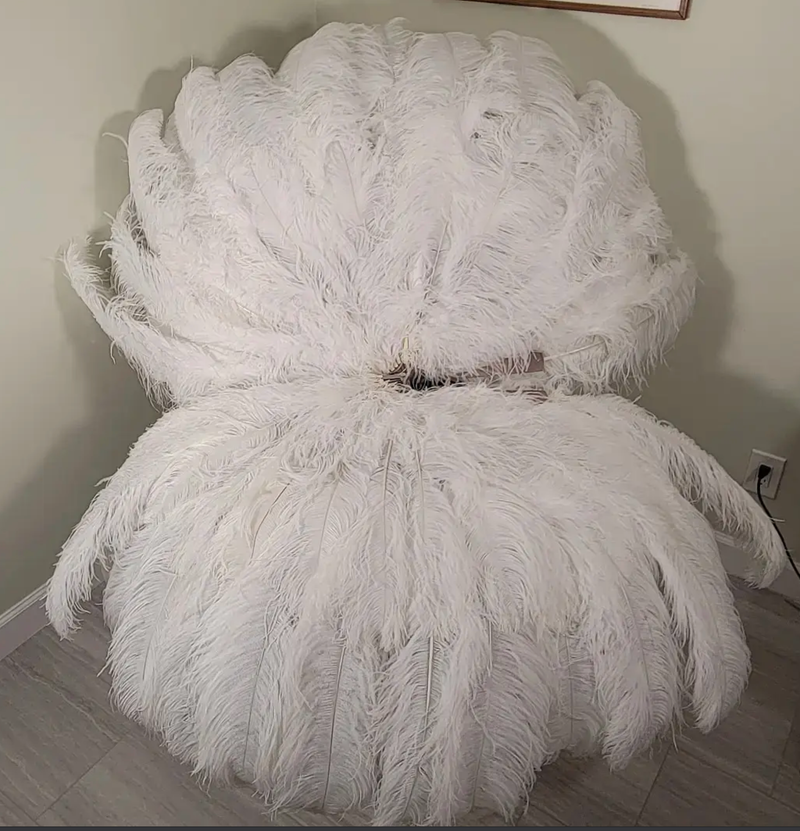 FEATHER FANS