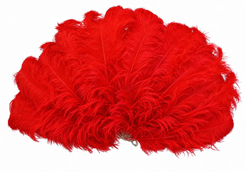 FEATHER FANS
