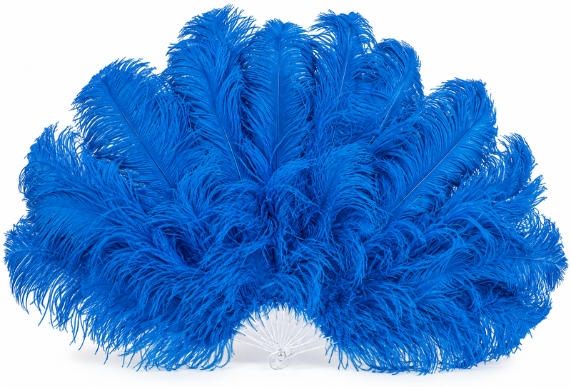FEATHER FANS