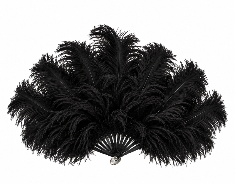 FEATHER FANS