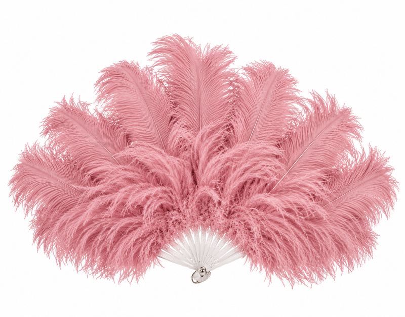 FEATHER FANS