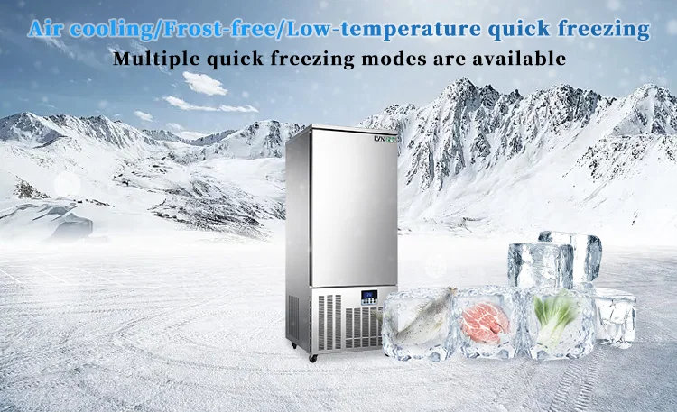 Fresh Food Blast Freezer User Guide: Preservation and Loss Reduction