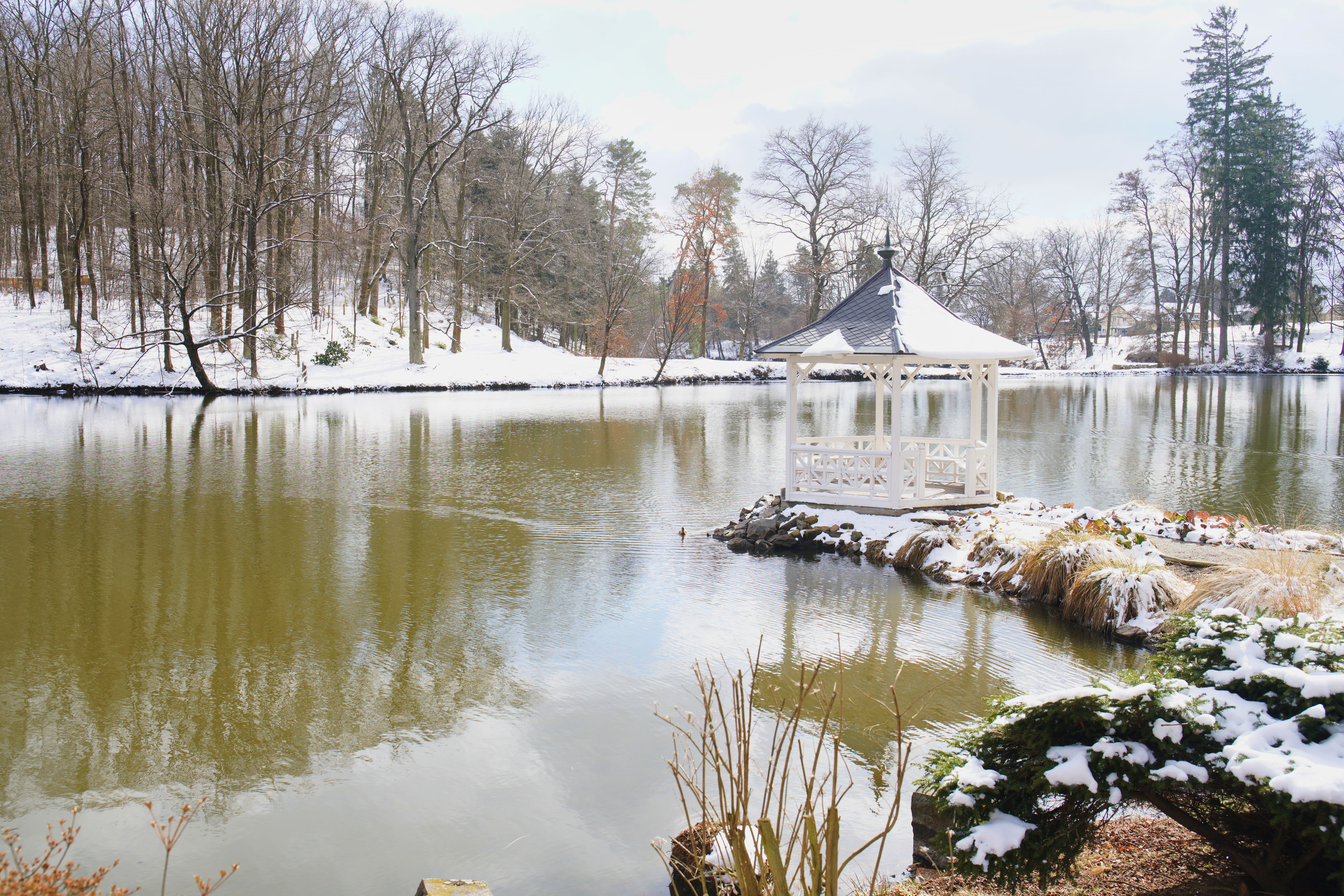 botanical garden prague