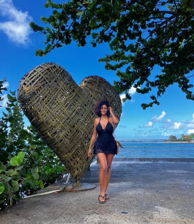 Portail d'ouverture  image