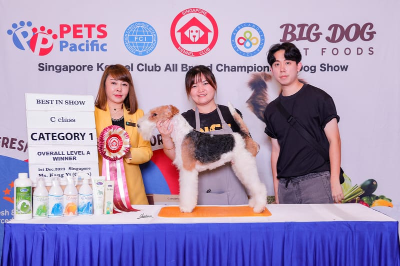 Pooch Starter – Class C Pet Grooming Course