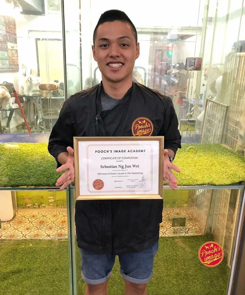 Basic Dog Grooming Course