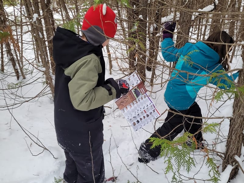 Biboon - Winter Newsletter ❄️