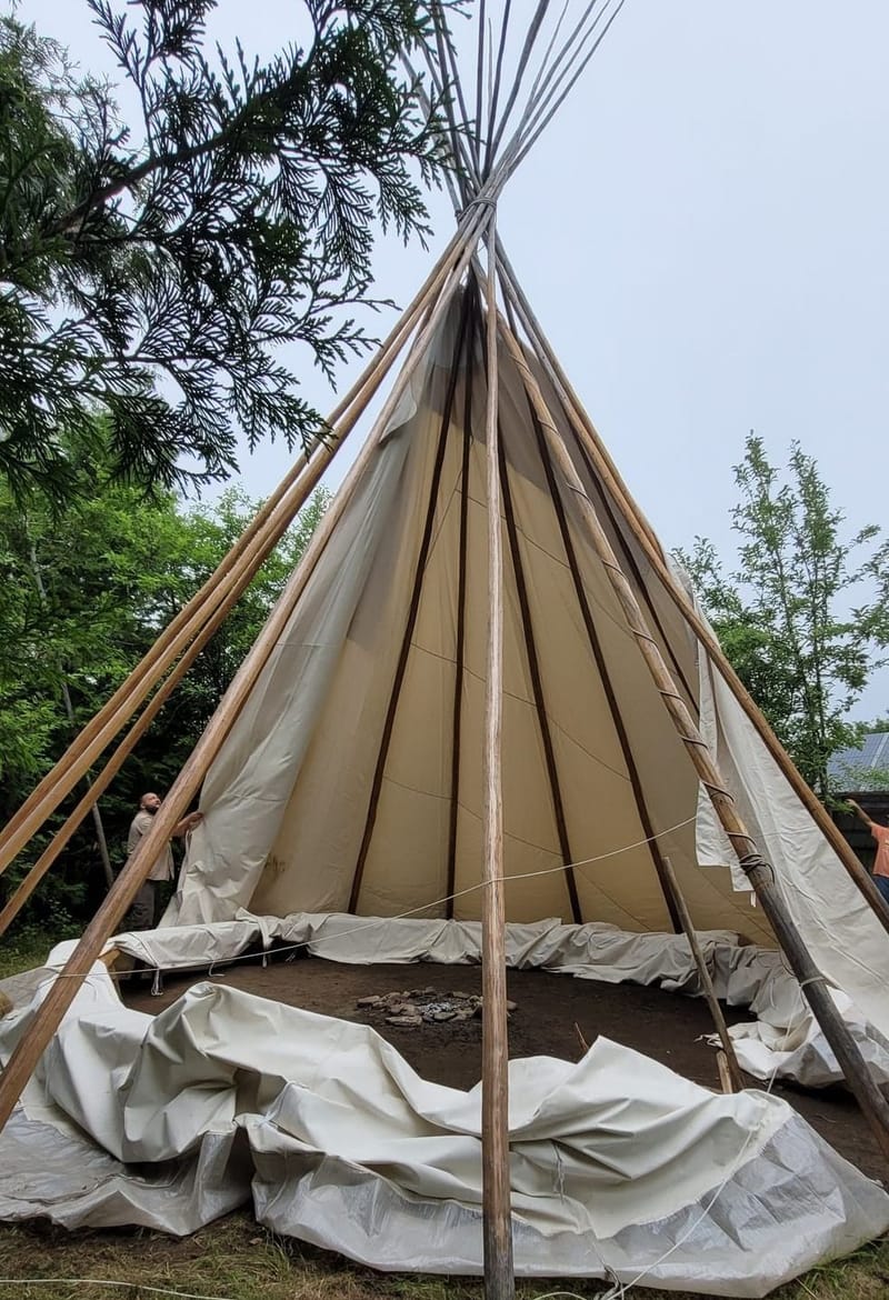 Niibin - Summer Newsletter ☀️