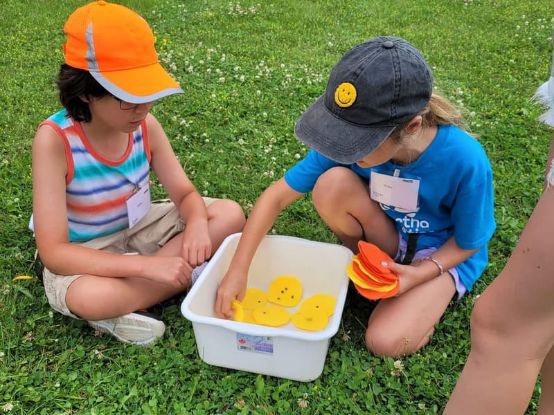 Feasting Frenzy: AI and Indigenous Food Systems