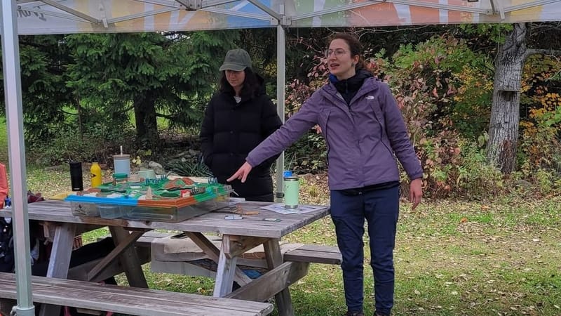 AI & Us (For Educators)