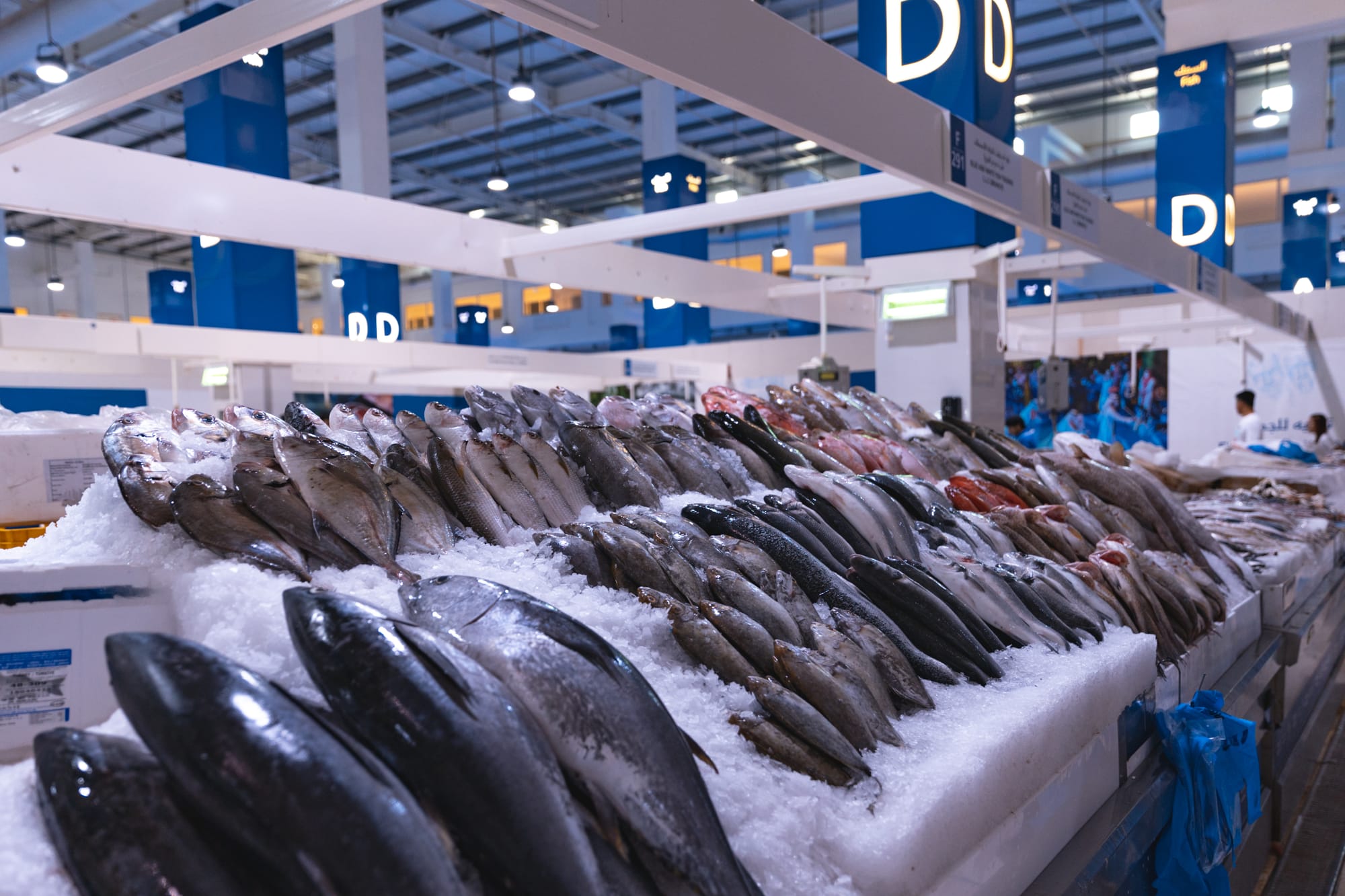 Seafood Export - Regional & International Markets