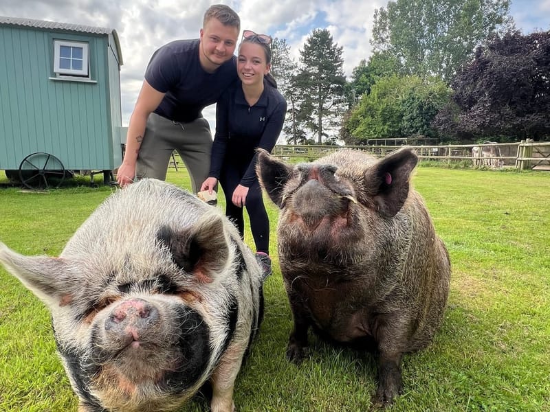 Piggy Pog Pamper Meet & Greet Experience