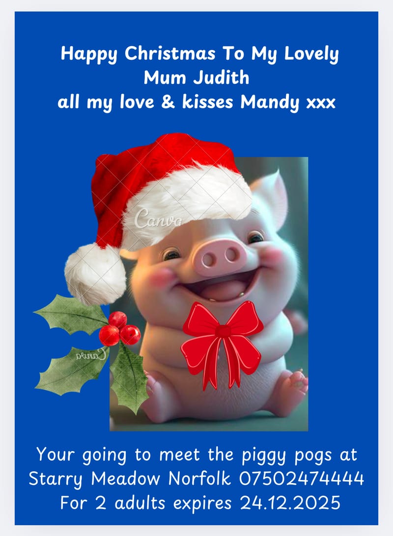 Gift vouchers for piggy and donkey experiences