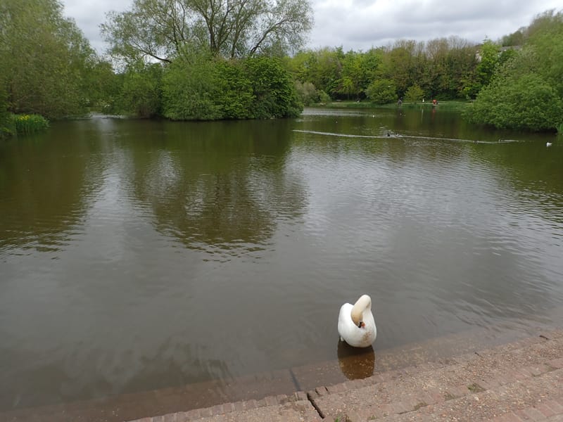 Coach Hire Lordswood