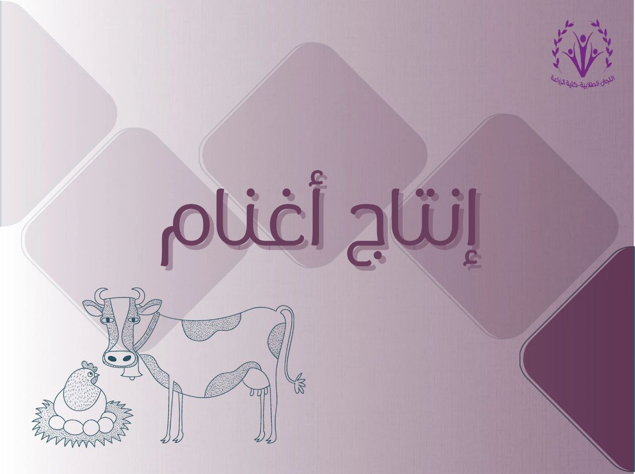 إنتاج الأغنام 🐑🐏