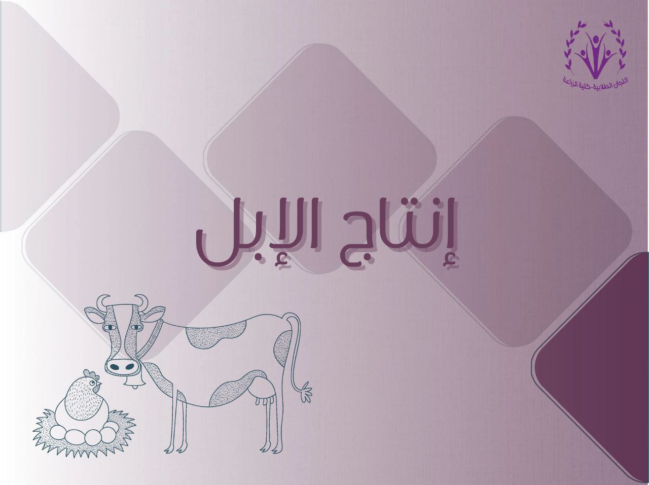 إنتاج الإبل 🐪