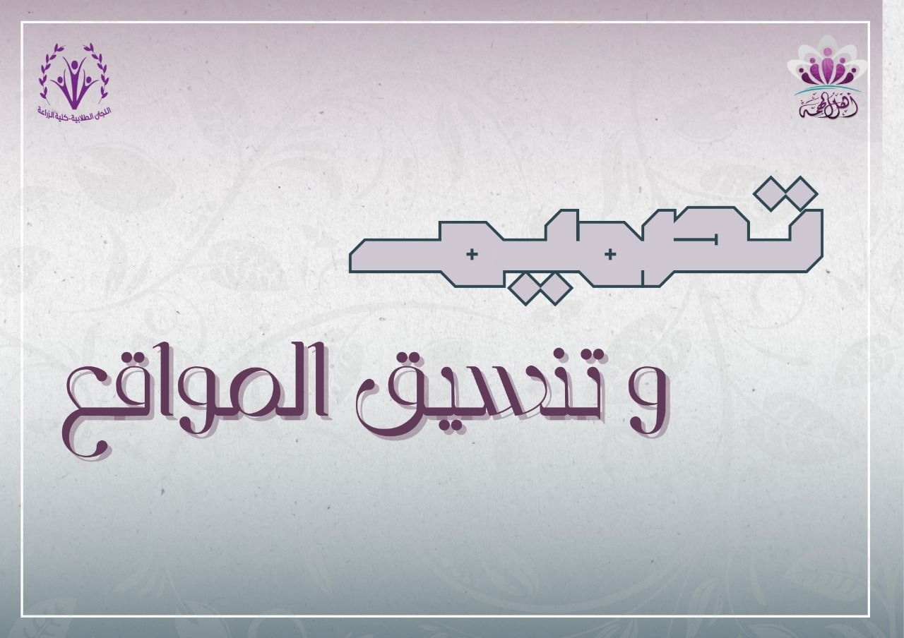 نبذة عن تخصص تصميم وتنيسق المواقع